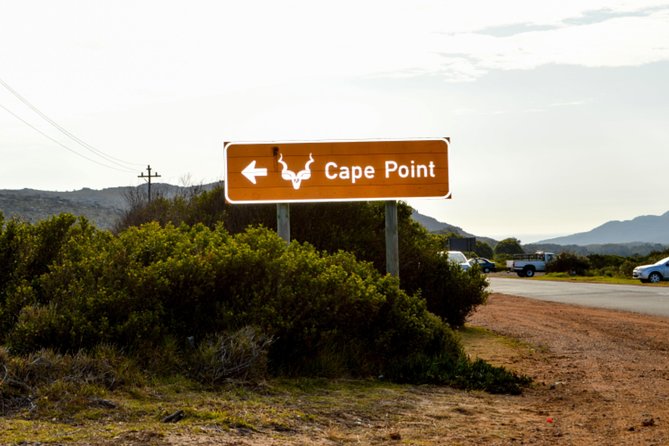 Private Cape of Good Hope Sightseeing and African Penguin Tour - Chapmans Peak Drive, View Stops, and the Tollgate Covered