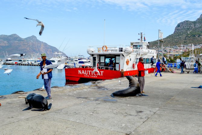 Private Cape of Good Hope Sightseeing and African Penguin Tour - Cape Point Vineyards Tasting and Quick Ostrich Photos
