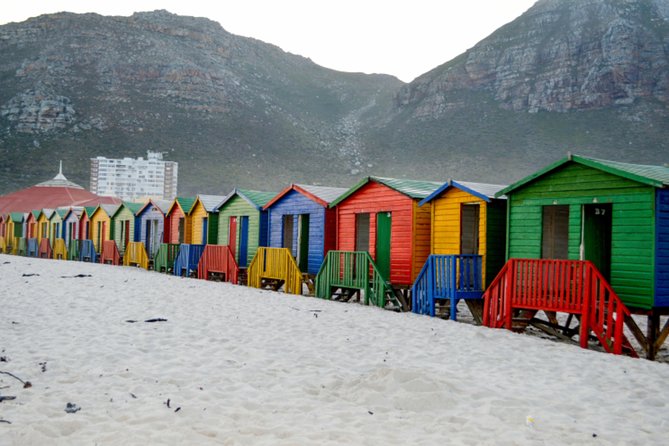 Private Cape of Good Hope Sightseeing and African Penguin Tour - Cape Point Nature Reserve and Cape of Good Hope Sign Moments