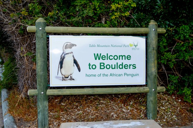 Private Cape of Good Hope Sightseeing and African Penguin Tour - Starting at Two Oceans, Then Kicking Off in Bo-Kaap