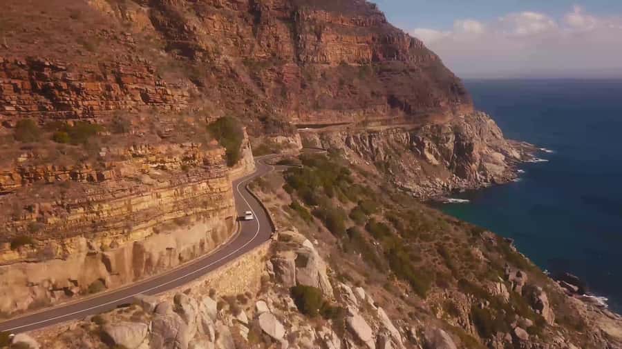 Private Cape Peninsula Half-Day Tour with Penguins - Simon’s Town guided time, plus that coastal town vibe