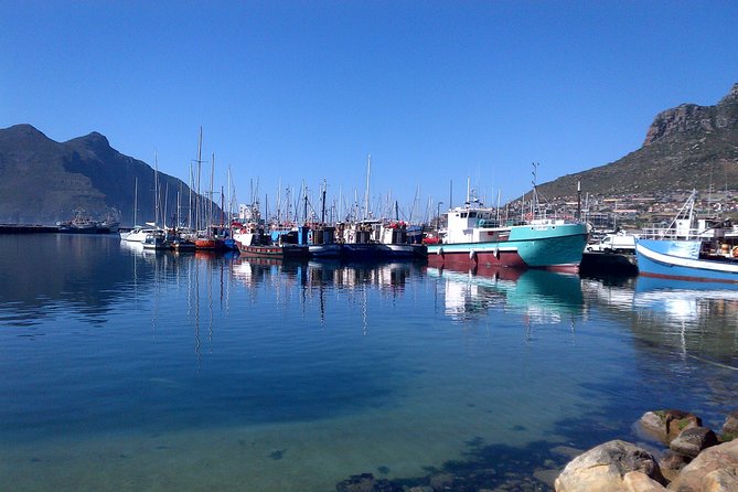 Private Cape Peninsula + Kirstenbosch Garden Full Day Guided Tour - Price and value: what you’re really paying for