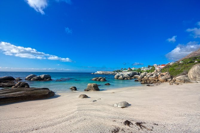 Private Cape Peninsula + Kirstenbosch Garden Full Day Guided Tour - The guide experience: what changes when it’s private