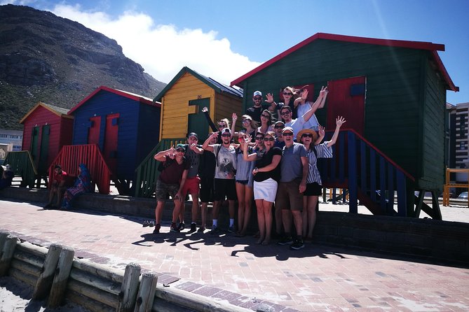 Private Cape Peninsula Tour - Boulders Beach penguins: quick, iconic, and not included in the base price