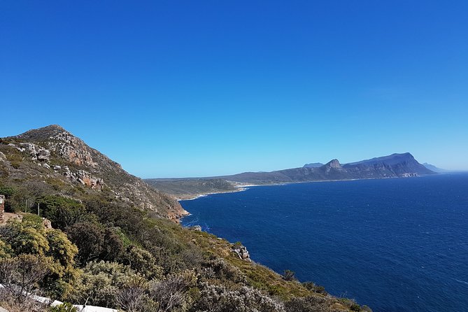 Private Cape Peninsula Tour - Cape Point, Cape of Good Hope sightseeing - Cape Town coast drive: Chapmans Peak, Hout Bay, and the seaside in-between