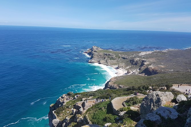 Private Cape Peninsula Tour - Cape Point, Cape of Good Hope sightseeing - Boulders Penguin Colony: the stop you plan around