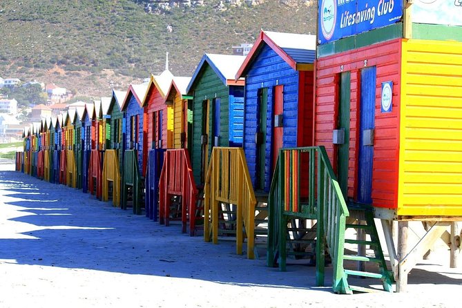 Private Cape Peninsula Tour, With Close Range Penguin Encounter From Cape Town. - Noordhoek and Cape Point area: farming village energy to raw coastline