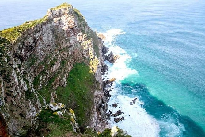 Private Cape Peninsula Tour - Cape Point Nature Reserve: lighthouse time and the animal spotting game