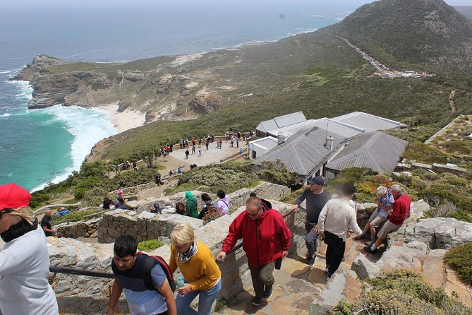 Private Cape Point Penguins Tour-Exploring the Cape Peninsula F/D - Why This Private Cape Peninsula Loop Works So Well