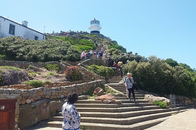 Private Cape Point Penguins Tour-Exploring the Cape Peninsula F/D - Hout Bay Coffee Break and Art Time, Plus Seals If You Want Them