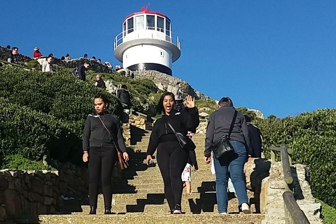 Private Cape Point Penguins Tour-Exploring the Cape Peninsula F/D - Cape Point Nature Reserve: Baboons, Lighthouses, and Portuguese-Era Stories