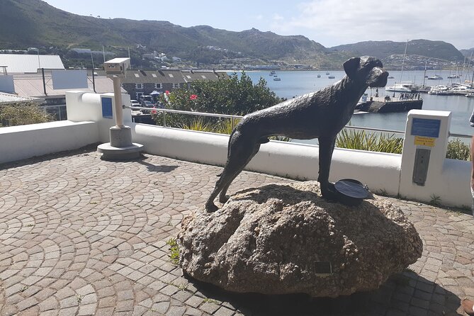 Private Cape Point / Peninsula Tour - The smart way to do the Cape Peninsula in one day