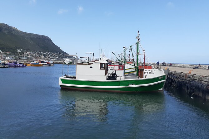 Private Cape Point / Peninsula Tour - Cape Point Nature Reserve: cliffs, animals, and the Flying Dutchman funicular