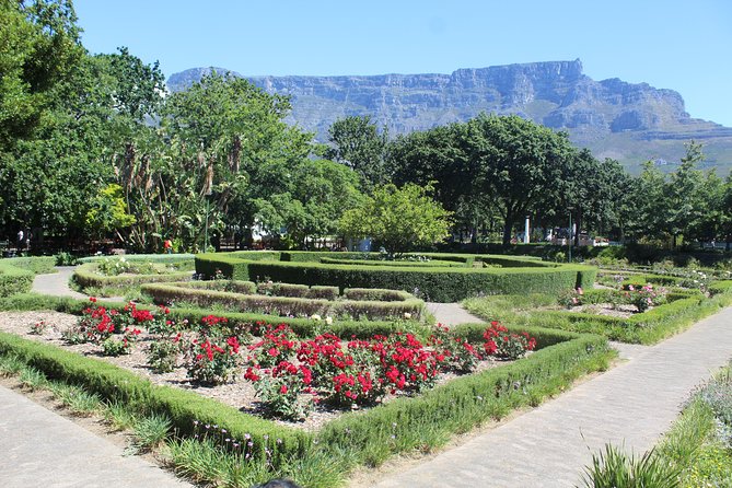 Private Cape Town City Tour Table Mountain + Cable car ticket H/D - The 1968 forced removals museum stop and the Cape Flats connection