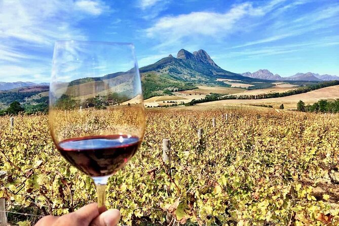 Private Cape Town City Tour table Mountain with wine tasting - Table Mountain: about 90 minutes of rides plus skyline time (cable fees extra)