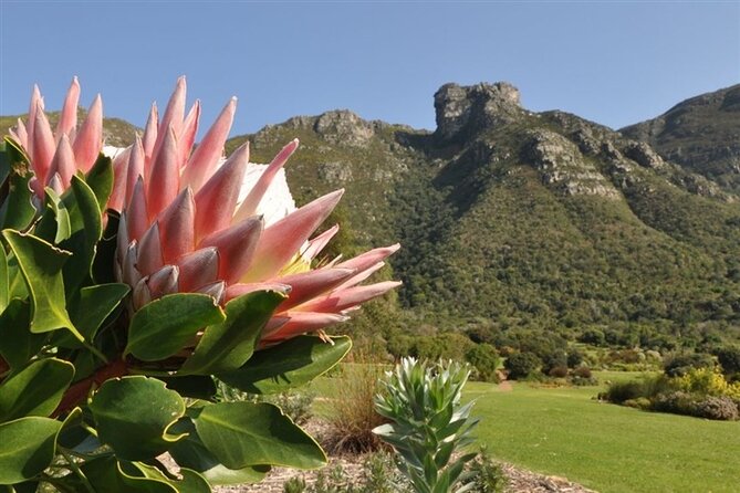 Private Cape Town City Tour table Mountain with wine tasting - Maiden’s Cove: coastal views between Clifton and Glen Beach