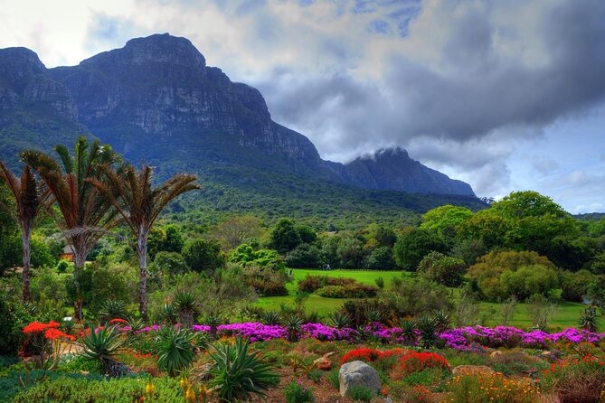 Private Cape Town City Tour table Mountain with wine tasting - Kirstenbosch Gardens: 2 hours of curated nature near Table Mountain