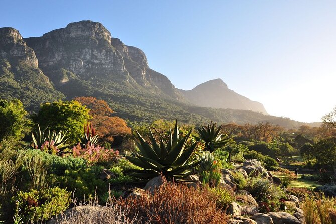 Private Cape Town City Tour table Mountain with wine tasting - World of Birds and the Monkey Park in Hout Bay