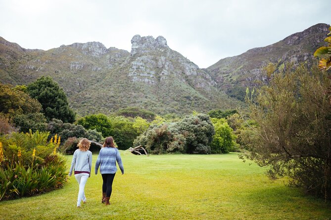 Private Cape Town City Tour table Mountain with wine tasting - How the full 8 hours feels: pace, comfort, and best moments