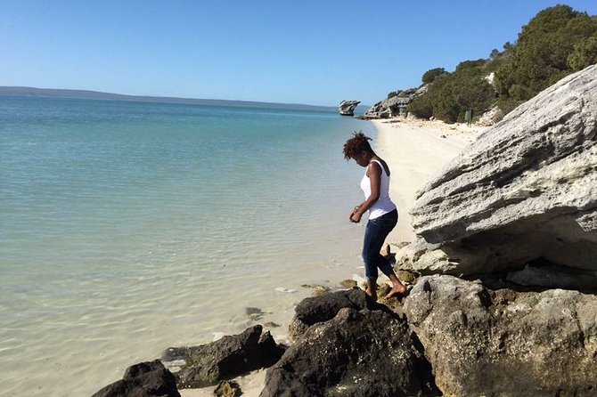 Private Cape Towns West Coastal Tour with Quad Bike - Price and value: is $185.01 per person worth it?