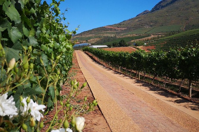 Private Cape Winelands from Stellenbosch OR Franschhoek OR Paarl - A practical winelands day plan: how it fits 8 hours