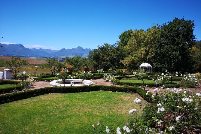 Private Cape Winelands from Stellenbosch OR Franschhoek OR Paarl - Stellenbosch Wine Routes: another 5-wine comparison