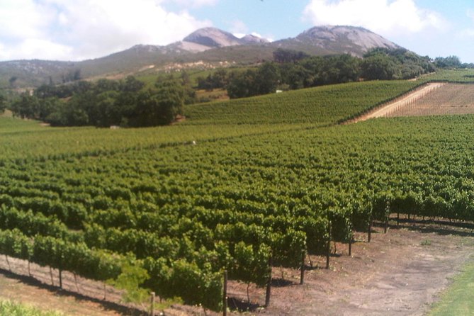 Private Cape Winelands from Stellenbosch OR Franschhoek OR Paarl - Fairview Wine and Cheese: pairing if you want a break from only wine