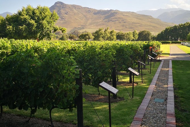 Private Cape Winelands Ful Day Ultra Flexible Guided Tour. - Key highlights at a glance