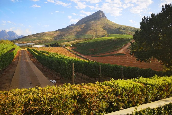 Private Cape Winelands Ful Day Ultra Flexible Guided Tour. - Your 09h30 to 8-hour day, built around flexibility