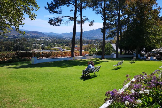Private Cape Winelands Ful Day Ultra Flexible Guided Tour. - Stellenbosch city tour: a short dose of town culture