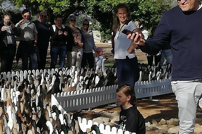 Private Cape Winelands Guided Full Day Tour from Cape Town - Roca Restaurant lunch with Franschhoek Valley views