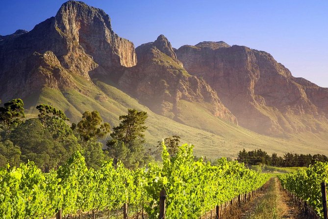 Private Cape Winelands Guided Full Day Tour from Cape Town - Delaire Graff Estate: art collection plus Stellenbosch Valley views