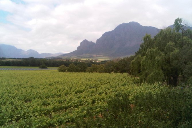 Private Cape Winelands Tour from Cape Town - Key Highlights That Make This Day Work