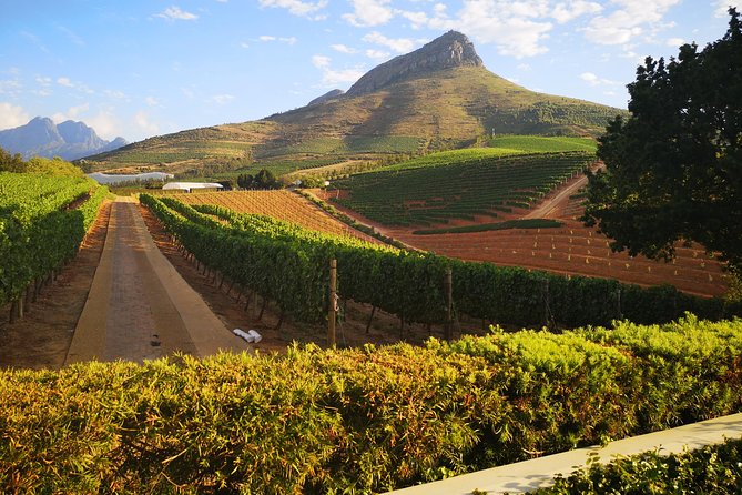 Private Cape Winelands Tour from Cape Town - Paarl After Lunch: Mandela Landmarks and Afrikaans on the Mountain