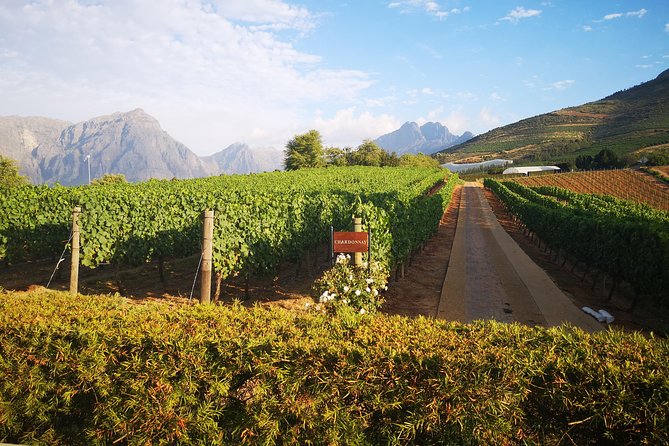 Private Cape Winelands Tour from Cape Town - Stellenbosch and Franschhoek Vineyards: What the Two-Winery Blocks Mean