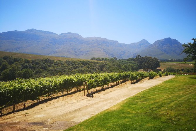 Private Cape Winelands Tour from Cape Town - Stellenbosch First: Dorp Street, General Stores, and University Avenues