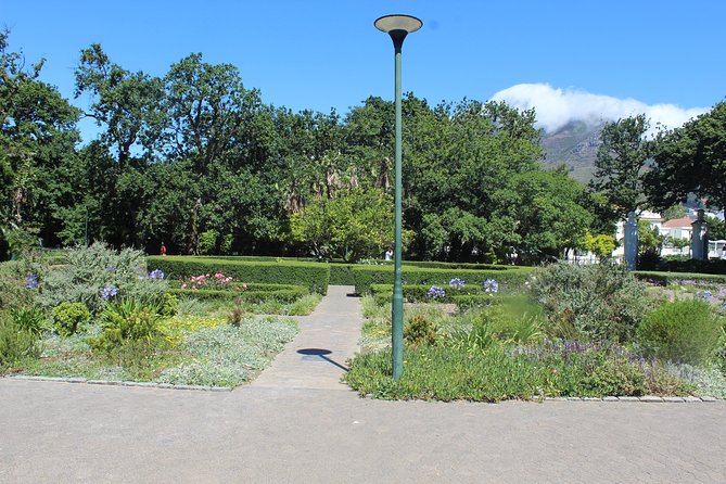 Private City Tour Table Mountain + Cable Car Ticket Camps Bay H/D - Company Gardens, birds, and the South African Art Gallery