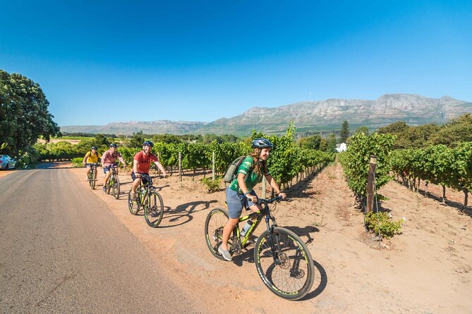 Private Cycling Tour of Constantia Winelands - Winery stops at Buitenverwachting, Steenberg, and Groot Constantia