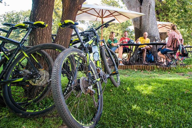 Private Cycling Tour of Constantia Winelands - How long it takes, and when to plan it in Cape Town