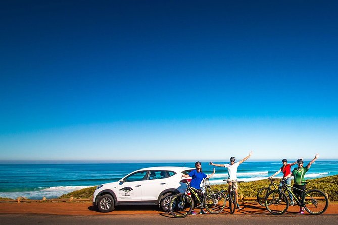 Private Cycling Tour of The Cape Peninsula from Cape Town - Cape of Good Hope and Cape Point: cliffs, views, and a real sense of place