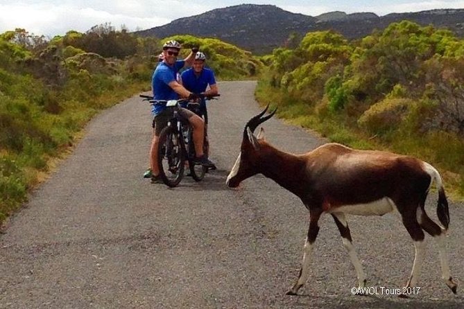 Private Cycling Tour to Cape Point from Cape Town - Meeting at the V&A Waterfront and getting your bike right