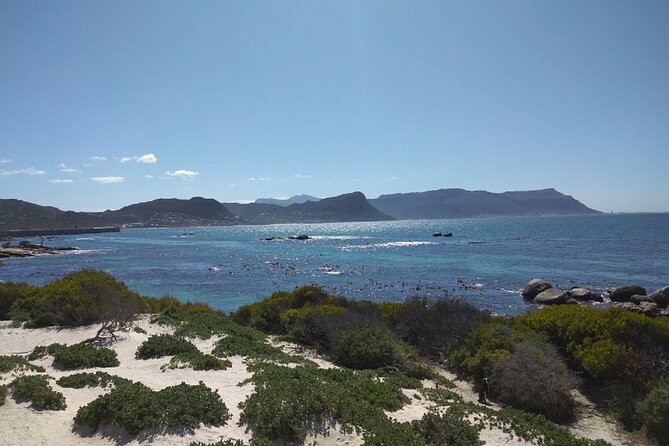 Private Day tour of the Cape. Our reviews show why people book! - Comfort, timing, and the kind of traveler it suits