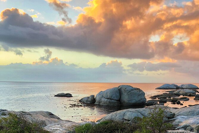 Private Day tour of the Cape. Our reviews show why people book! - Booking tips to make the day go smoothly