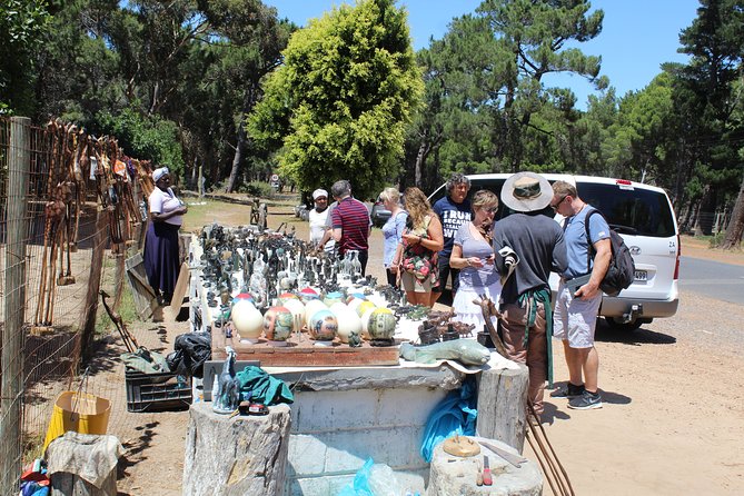 Private Day Tour to Cape of Good Hope Penguins Inc Entry Tickets from Cape Town - How this private day tour works in real life