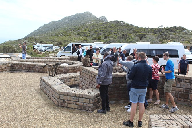 Private Day Tour to Cape of Good Hope Penguins Inc Entry Tickets from Cape Town - Chapman’s Peak Drive, 114 curves and photo pull-offs