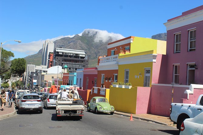 Private Day Tour to Cape of Good Hope Penguins Inc Entry Tickets from Cape Town - Cape Point Ostrich Farm for a quick hands-on farm stop