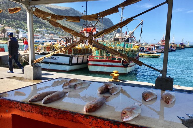 Private Day Tour to Cape Point , Penguins, Wine or Beer Tasting - Noordhoek Beach and Hout Bay: wide coast, surf vibe, and old history