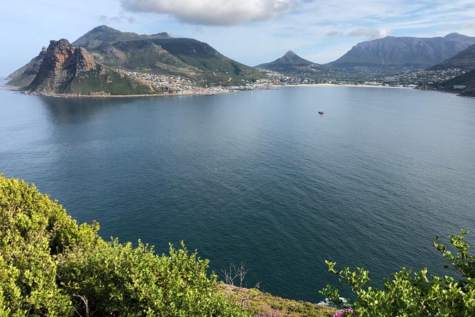 Private Day Tour to Cape Point , Penguins, Wine or Beer Tasting - Cape of Good Hope: animals, 1094 plant species, and the Cape of Storms