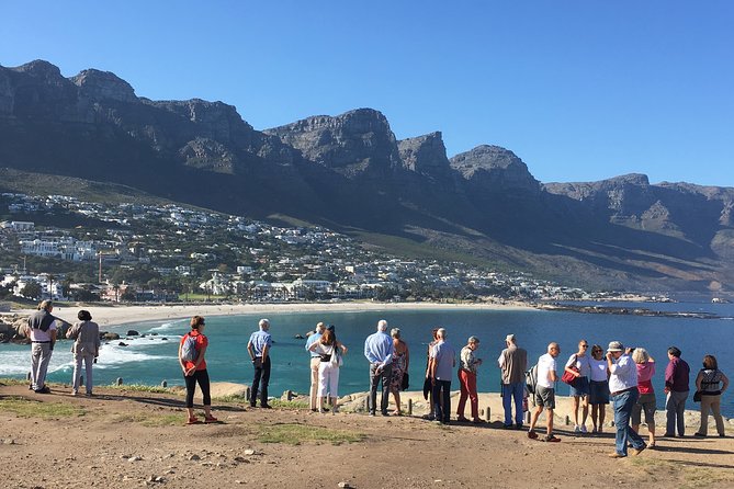 Private day tour to the Cape of Good Hope - A Private 8-Hour Cape of Good Hope Day Trip from Cape Town