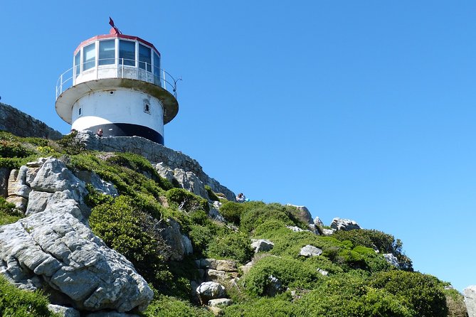 Private day tour to the Cape of Good Hope - Price and Value: What $151.97 Covers, and What Adds Up